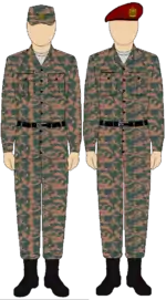 Egyptian Army Thunderbolt camouflage uniform