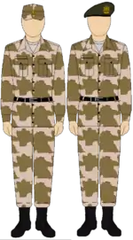 Egyptian Army Thunderbolt camouflage uniform