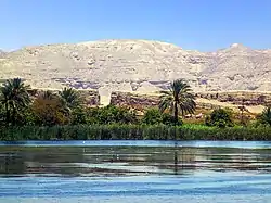 In the foreground the Nile, in the middle ground, luxurious plants and palms trees, in the background the barren hills of the desert