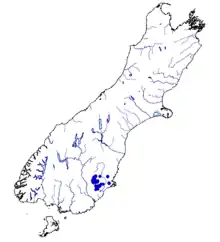 Map showing distribution of Eldon's galaxias (Galaxias eldoni), from data in the NIWA Freshwater Fish Database.