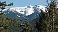 Elk Mountain seen from Hurricane Ridge