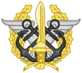 Emblem of the Joint Special Operations Command (MCOE)