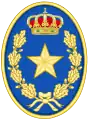 Emblem of the Military Staff (EMA)