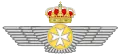 Medical Corp Wings(Merged into Common Corps)