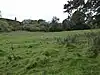 Empingham Marshy Meadows