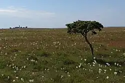 Sparse vegetation surrounds this light station.