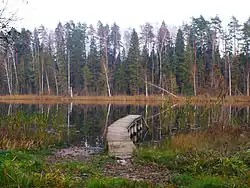 Lake Ennuse in Möldre