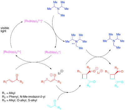 Diagram of Photocatalytic Crossed Enone 2+2 cycloaddition