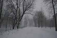 Winter scene of a tree-lined driveway leading to the college building