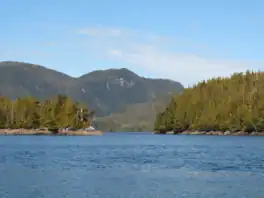 Entrance to Newcombe Harbour, off Petrel Channel, part of Pitt Island