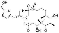 Epothilones E (R = H) and F (R = Me)