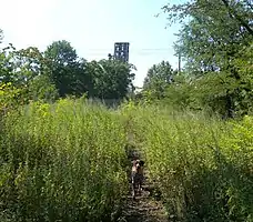 Erie-Lackawanna embankment