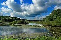 Erie National Wildlife Refuge (Sugar Lake Division) in Randolph Township