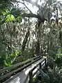 Boardwalk at Erna Nixon Park