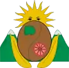 Official seal of Villarrica, Tolima