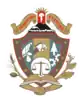 Coat of arms of Nuevo San Juan Parangaricutiro