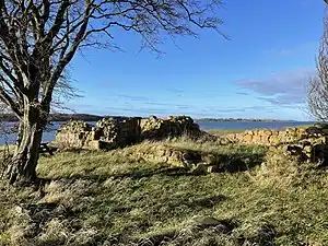 Ruins of the Eskilsø Monastery