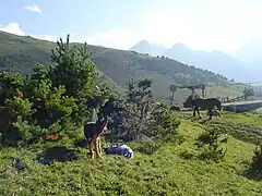 La Tuca Ski Resort (August 2006)