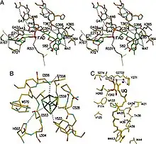 ETF-QO functional domains