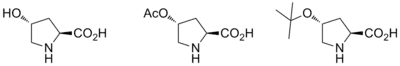 Examples of proline catalysts