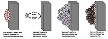 Proposed methods of exoelectrogen electron transport