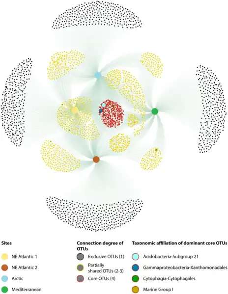 OTU (operational taxonomic unit) network of the extracellular DNA pools from the sediments of the different continental margins.