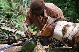 Palm wine