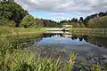 F.R. Newman Arboretum, Cornell University