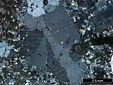 Figure 1. Photomicrograph of perthitic texture in alkali-feldspar (center) from the Strathbogie Granite, Australia. (Cross polarized light). Sample CV-114.