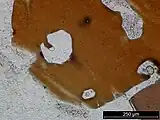 apatite inclusions in a biotite from sample CV-126 of the Strathbogie Granite, Australia.