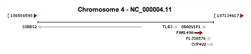 The location of FAM149A on chromosome 4 at 4q35.1 in Homo sapiens