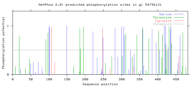 FAM149A NetPhos results