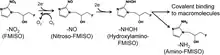 Chemical changes involved in the reduction and accumulation of FMISO in hypoxic tissue regions