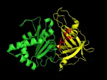 FNR crystal structure.