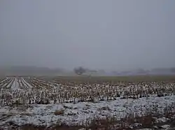 Snowy fields in Fairmount Township