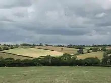 Picture of a field with a clump of trees