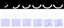 Figure showing dense image mtaching LDDMM for transporting a curved motion.