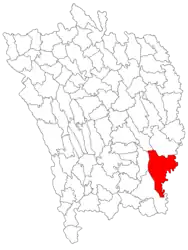 Location in Vaslui County