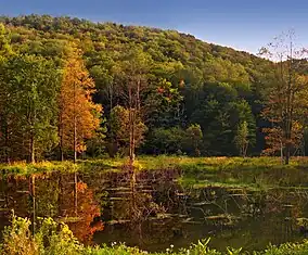 Lyman Run State Park