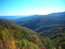 Blue haze trapped in a deciduous forest valley