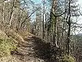 The GR 36 trail, close to the Château d'Auberoche.