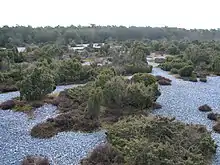 Stone Fields in the Schmale Heath and Extension Nature Reserve