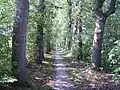 Bicycle path through the Coendersborg garden