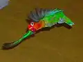 A Fischer's lovebird in flight