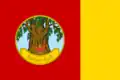 Flag of Prachinburi Province, Thailand