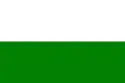 Flag of Bolshoy Lug