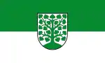 Flag of Homburg