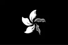 Black Bauhinia flag