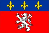 Flag of Lyon, France