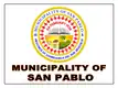 Flag of San Pablo